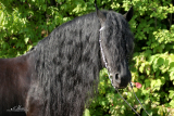 050924_Bonne BW_402.jpg